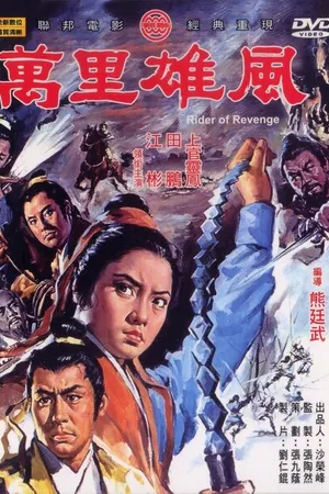 Постер к фильму Всадник мести (1971)