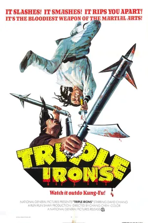 Постер к фильму Новый однорукий меченосец (1971)