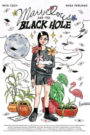Постер к фильму Marvelous and the Black Hole (2021)