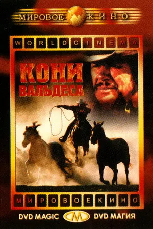Постер к фильму Кони Вальдеса (1973)