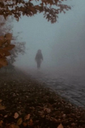 Постер к фильму Mózg (1983)