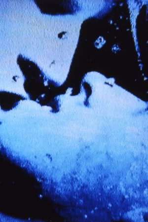 Постер к фильму Self-Portrait in 23 Rounds: A Chapter in David Wojnarowicz's Life, 1989-1991 (2018)