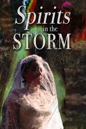Постер к фильму Spirits in the Storm (2019)