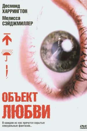 Постер к фильму Объект любви (2003)