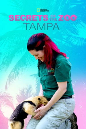 Постер к сериалу Secrets of the Zoo: Tampa (2020)