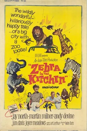 Постер к фильму Зебра на кухне (1965)