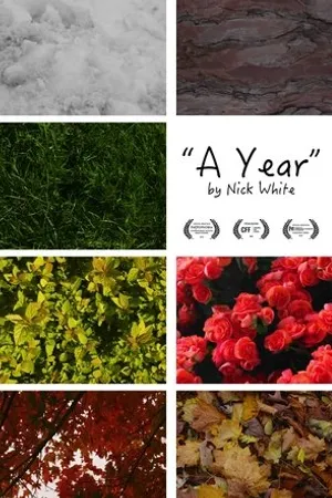 Постер к фильму A Year (2019)