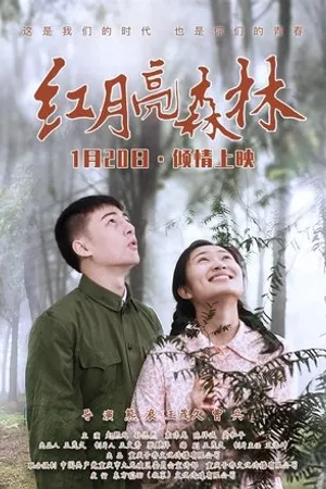 Постер к фильму Hong Yue Liang Sen Lin (2020)