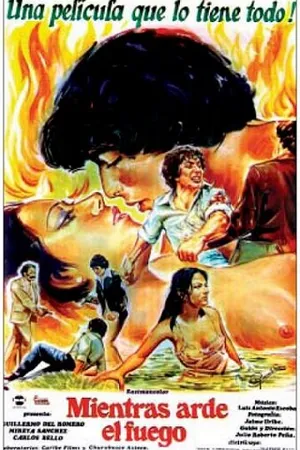Постер к фильму Как горит огонь (1982)
