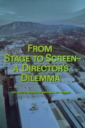 Постер к фильму Sweet Charity: From the Stage to the Screen (1969)