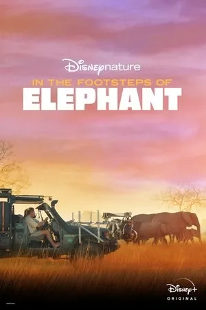 Постер к фильму In the Footsteps of Elephant (2020)