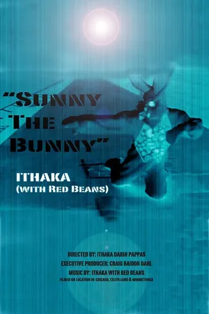 Постер к фильму Sunny the Bunny (2017)
