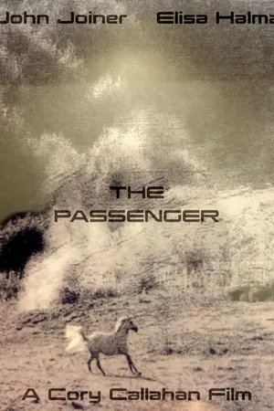 Постер к фильму The Passenger (2021)
