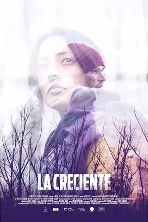 Постер к фильму La creciente (2019)