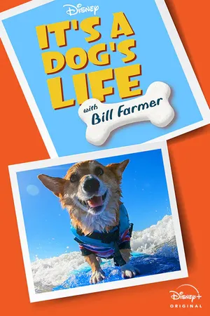 Постер к сериалу It's A Dog's Life (2020)