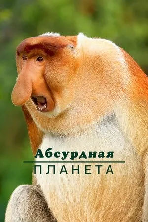 Постер к сериалу Absurd Planet (2020)