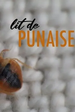 Постер к фильму Lit de punaise (2020)