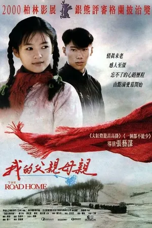 Постер к фильму Дорога домой (1999)