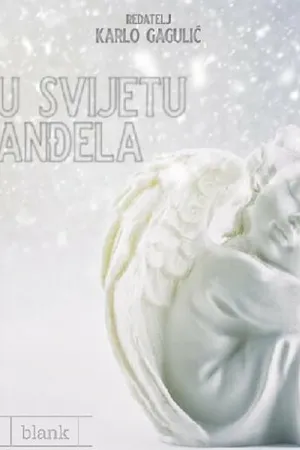 Постер к фильму U svijetu andela (2019)
