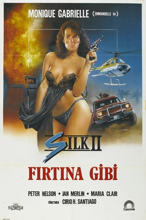 Постер к фильму Шелк 2 (1989)