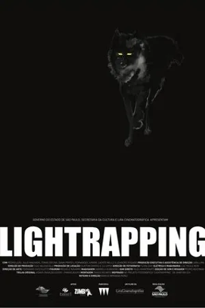 Постер к фильму Lightrapping (2016)