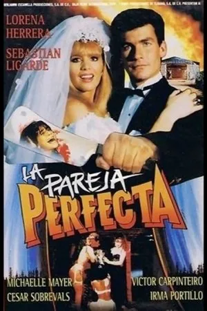 Постер к фильму La pareja perfecta (1991)
