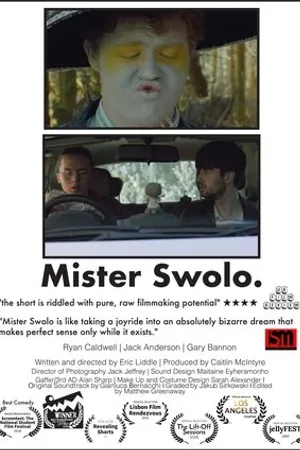 Постер к фильму Mister Swolo (2018)