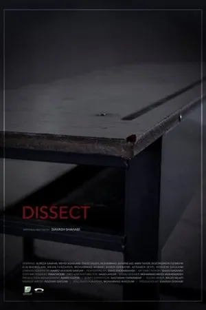 Постер к фильму Dissect (2019)