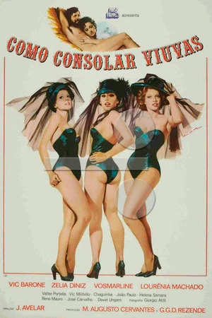 Постер к фильму Так как это утешит вдов (1976)