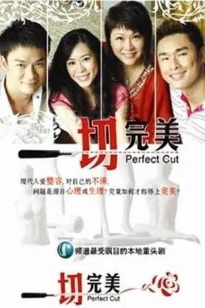 Постер к сериалу Perfect Cut (2008)