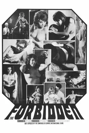 Постер к фильму Запрещенный (1966)
