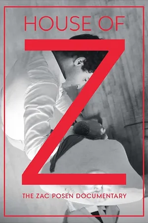 Постер к фильму Дом Z (2017)