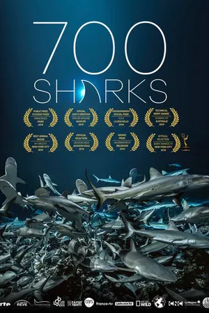 Постер к фильму 700 акул (2019)