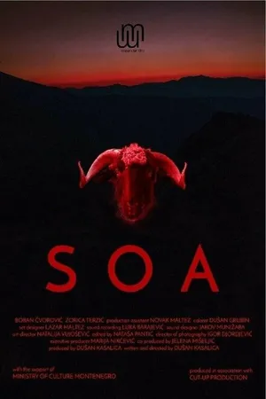 Постер к фильму Soa (2017)