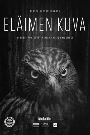 Постер к фильму Eläimen kuva (2018)