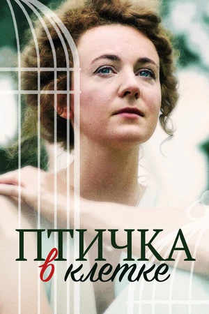 Постер к фильму Птичка в клетке (2020)