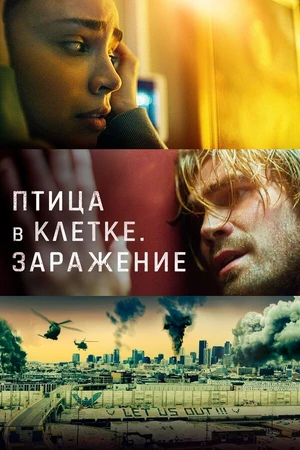 Постер к фильму Птица в клетке. Заражение (2020)