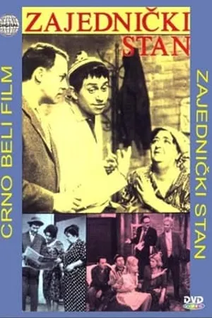 Постер к фильму Zajednicki stan (1960)