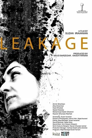 Постер к фильму Протечка (2019)