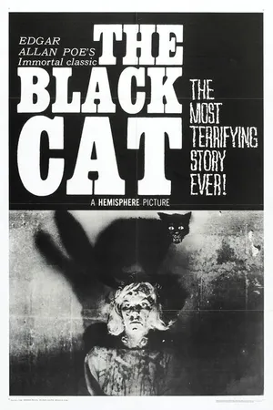 Постер к фильму Чёрный кот (1966)