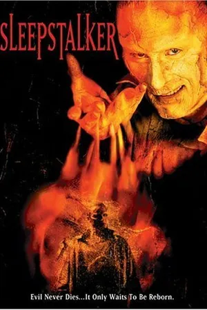 Постер к фильму Песочный человек (1995)