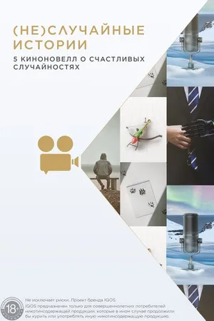 Постер к фильму (Не)случайные  истории (2020)
