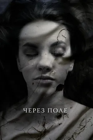Постер к фильму Через поле (2020)
