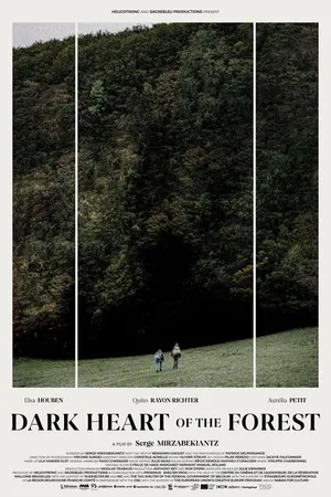 Постер к фильму Темное сердце леса (2021)