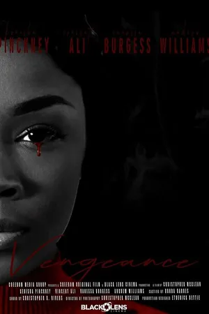 Постер к фильму Vengeance (2020)
