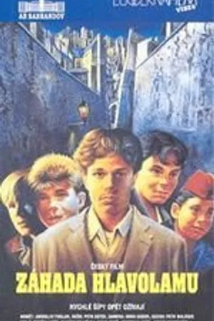 Постер к фильму Тайна головоломки (1993)
