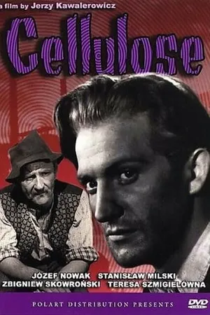 Постер к фильму Целлюлоза (1953)
