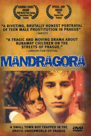 Постер к фильму Мандрагора (1997)