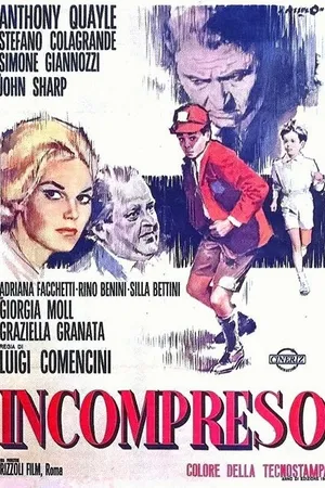 Постер к фильму Не­понятый (1967)