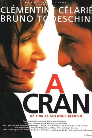 Постер к фильму На грани (1995)